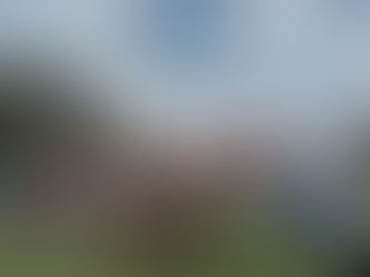 GUAMINÍ: LA LOCALIDAD DE ARROYO VENADO CONMEMORÓ SU 122° ANIVERSARIO