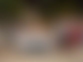 CONTINÚAN LOS CARNAVALES GUAMINÍ 2025