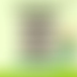 CRONOGRAMA DE RECOLECCIÓN DE RESIDUOS EN CARLOS TEJEDOR DURANTE LAS FIESTAS