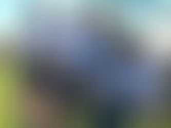 CIERRE DEL MES DE LA MUJER EN TRES ALGARROBOS