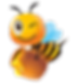 Honey Bee