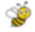 Honey Bee