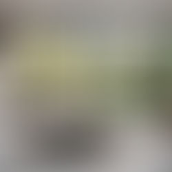 Nowoczesne Zadaszenia: Jak Wybrać Idealne Dla Twojego Domu?