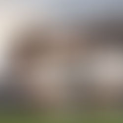 Zadaszenia: Jak Wybrać Najlepsze Rozwiązanie dla Twojego Domu