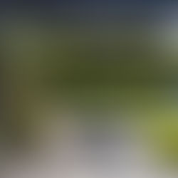 Nowoczesne pergole: Jak wybrać idealną dla Twojego ogrodu?