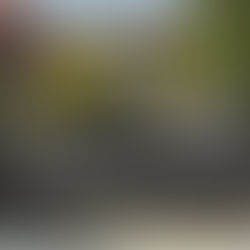 Jak wybrać idealne ogrodzenia dla swojego domu?