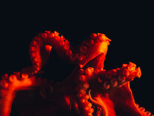 New Moon Trance Channeling