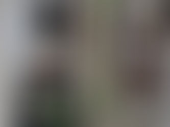 Goal Digger! Growing my accomplishment corner! Dreams do come true if you go after them!!!!!!