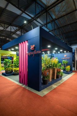 stand-enflor-2019-20190713-_APM7779