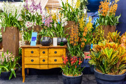 stand-enflor-2019-20190713-_APM7715