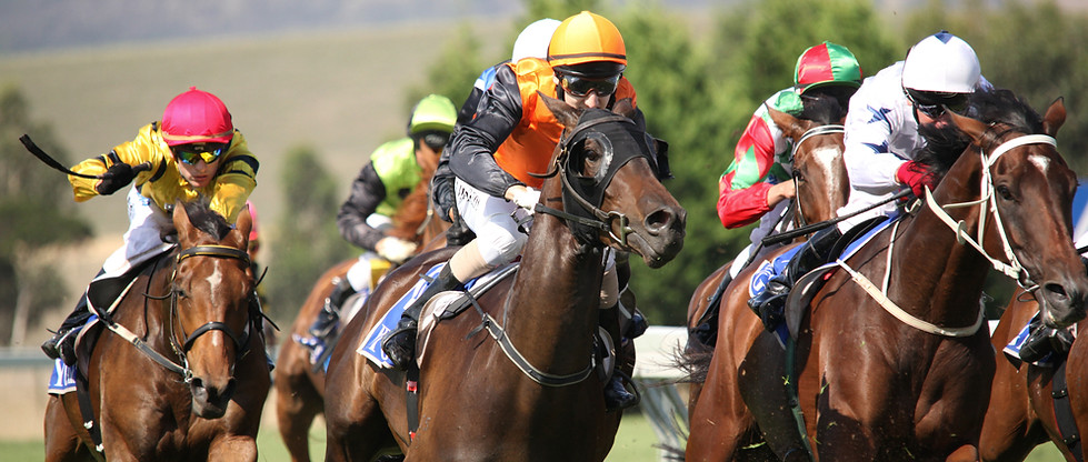 horse racing betting assessments