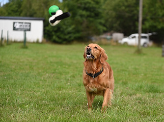 DSC_0793.jpg