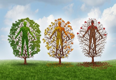 The body changes as the seasons change