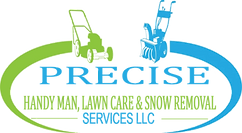 Precise Logo.png