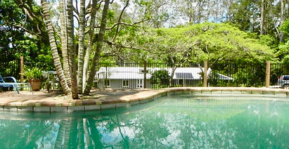 Bought by Buyers Agent Felicity Mackenzie of Mackenzie-George Buyers Advocates your local rural Buyers Agent in Byron and surrounds. This property is a grey weatherboard hinterland home with a pool and palm trees and a backdrop of trees