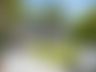 white home with black front door and front garden 