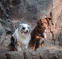 _DSC4527_edited.jpg