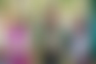 Grybų šventėje – apie šių metų derlių, arbatos klubą ir rinkimus