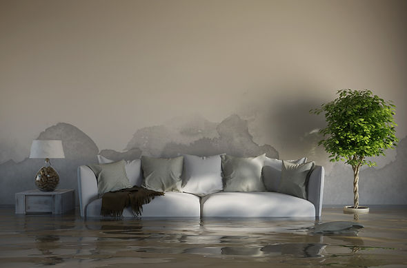 Residential Water Damage