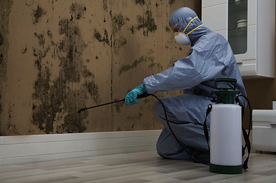 Commercial Mold Remediation