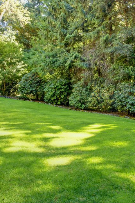 Residential Power Raking Dethatching Services