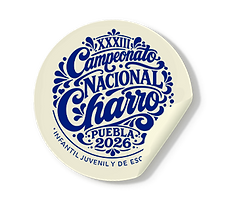 LOGO NACIONALITO 26.png