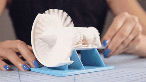 ProcductDev.gif