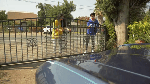 ElectricGate.gif