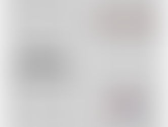 Vocabulário: FALSOS COGNATOS