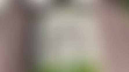 Celebrating 25 Years!