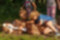 DSC_9736.jpg