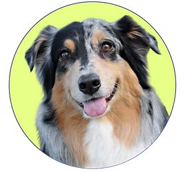 Before After (32).png