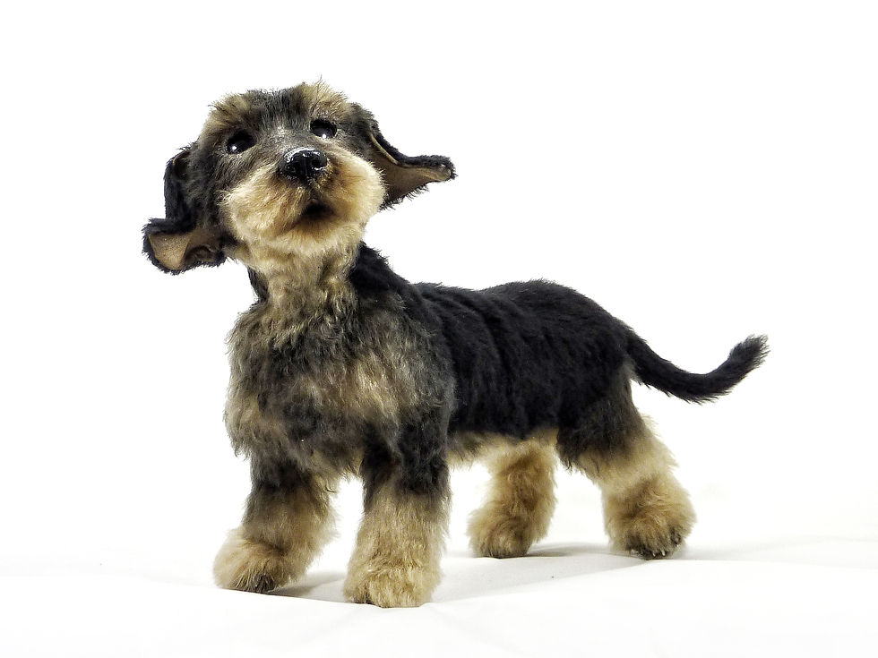 Doxie OTTO
