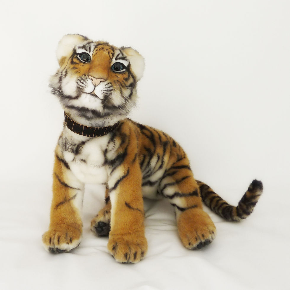 Tiger cub BLAKE