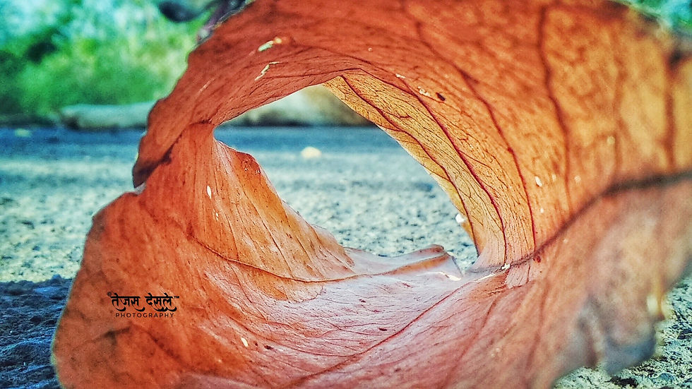 PicsArt_11-14-08.46.10