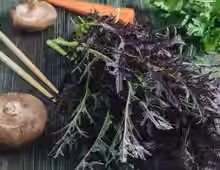 Mustard Greens, Scarlet Frills