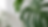 plant background.png