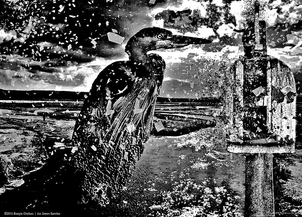 PHOTOMANIPULATION
