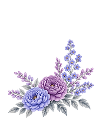 Untitled design (15)_edited.png