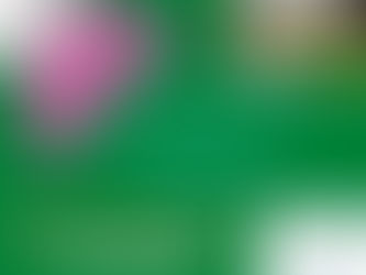 Our Lovely Members...