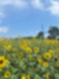 IMG_0614.jpeg
