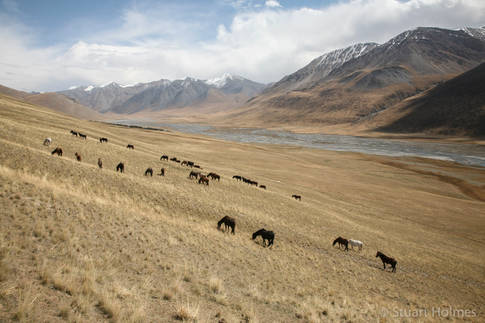 Kyrgystan08_442.jpg