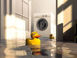 Not Singin’ in the Rain: Basements and Water