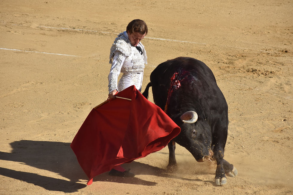 Javier Cortés se impone con oficio en una tarde de entrega junto a El Rafi y Álvaro Burdiel en la Copa Chenel de Algete