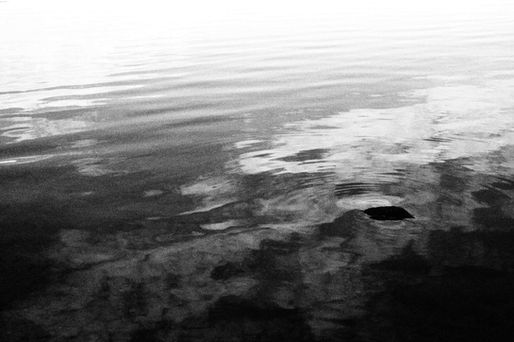 Monochrome water surface sky reflection with rock and ripples