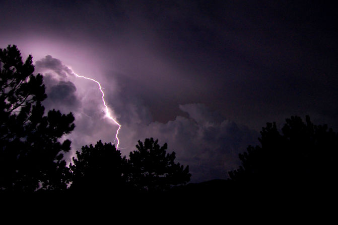 Dark night sky pine tree silhouettes illuminated by a lightening strike with purple hue
