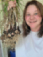 Homegrown garlic