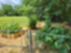 Raised bed installation project update