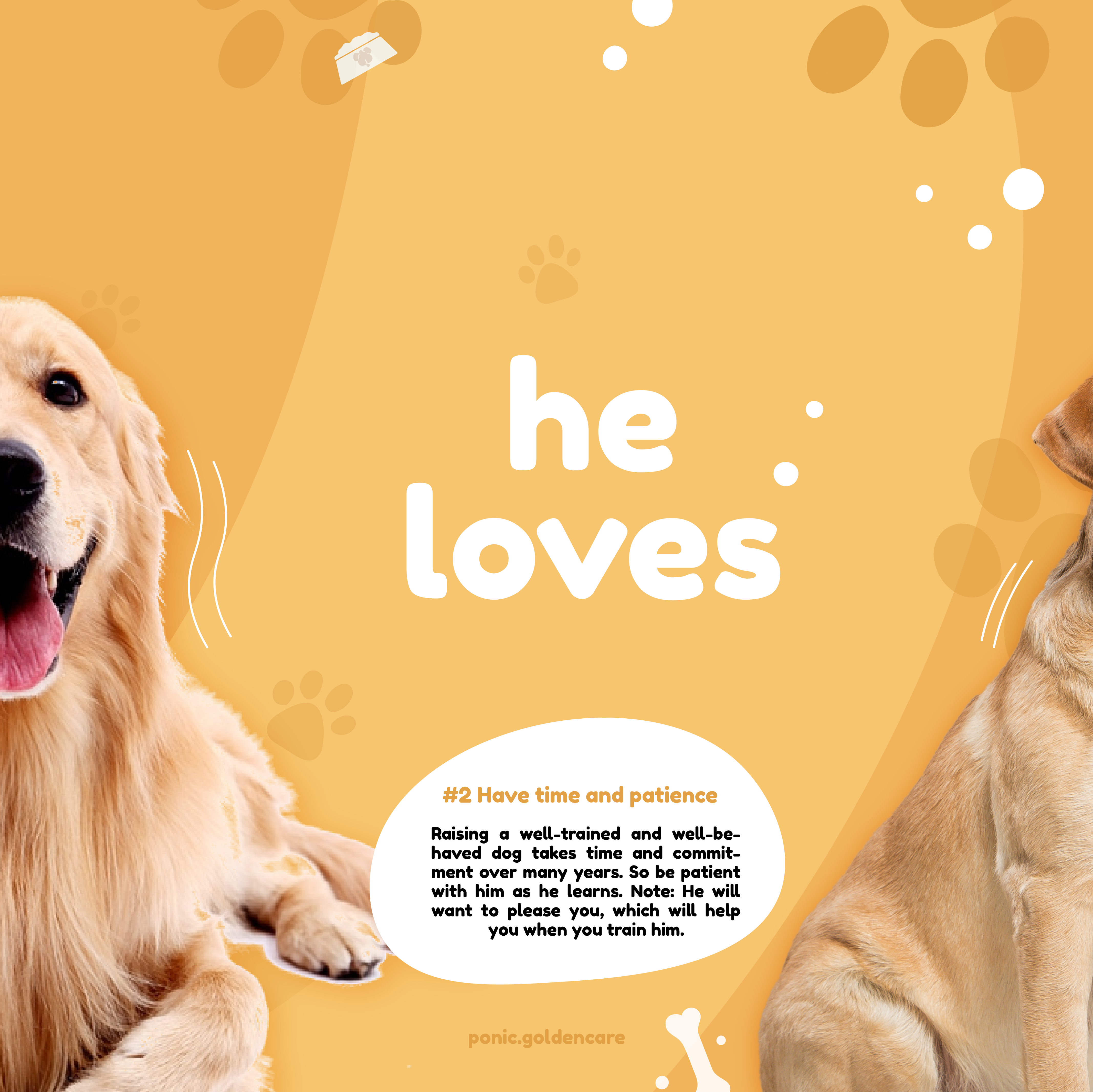 Pet Carousel IG-02.png