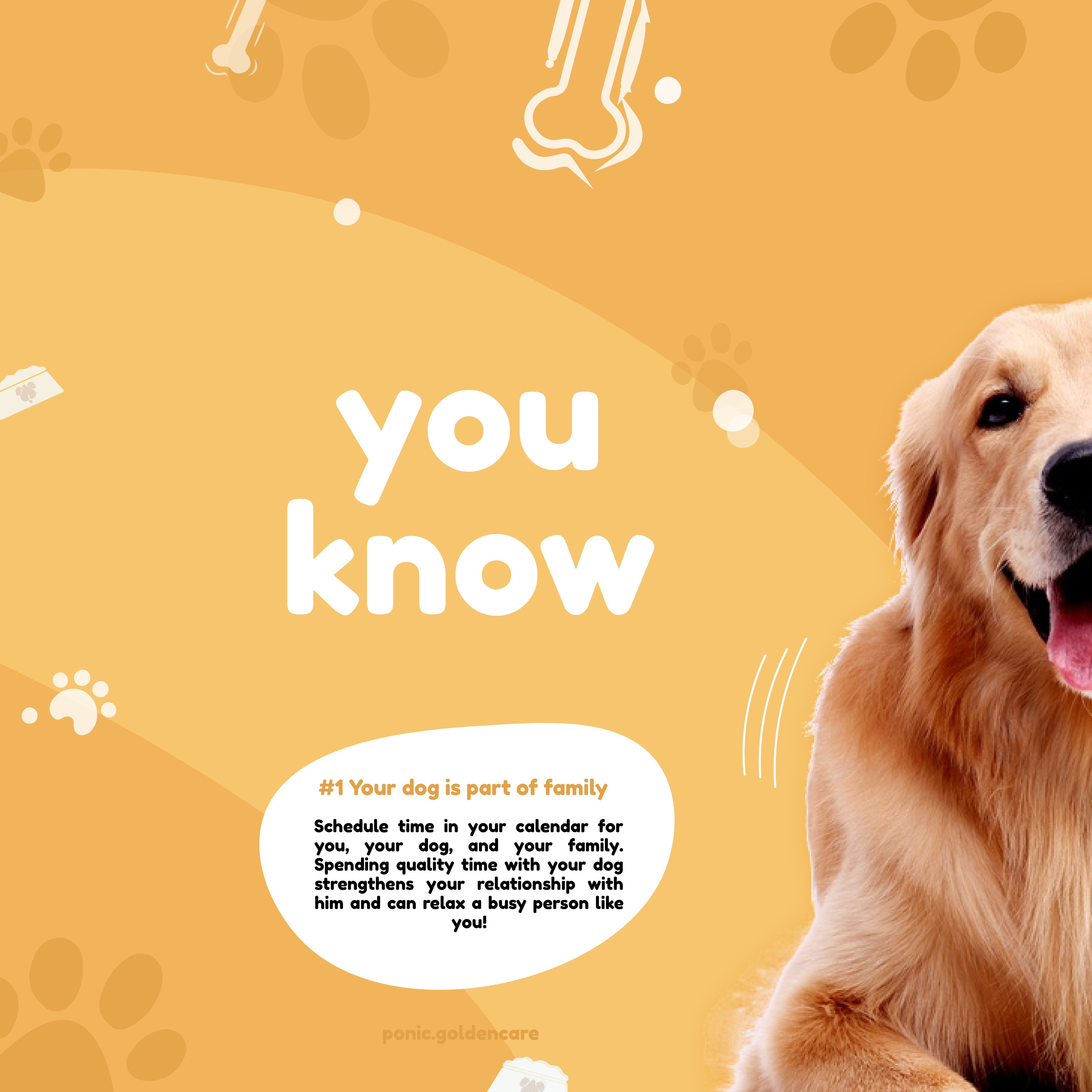 Pet Carousel IG-01.png